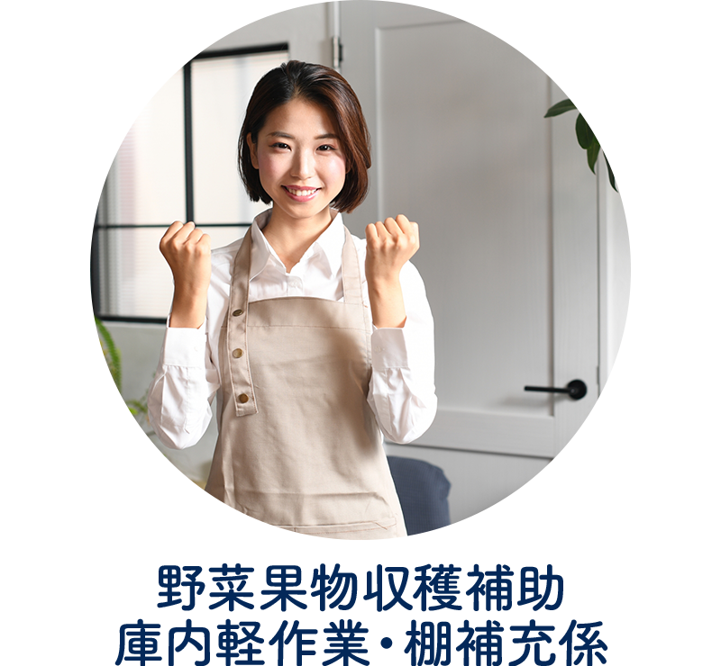 野菜果物収穫補助、庫内軽作業、棚補充係